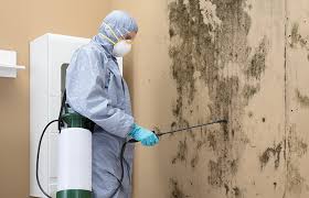 Best Water Damage & Mold Remediation  in Liolnton, NC